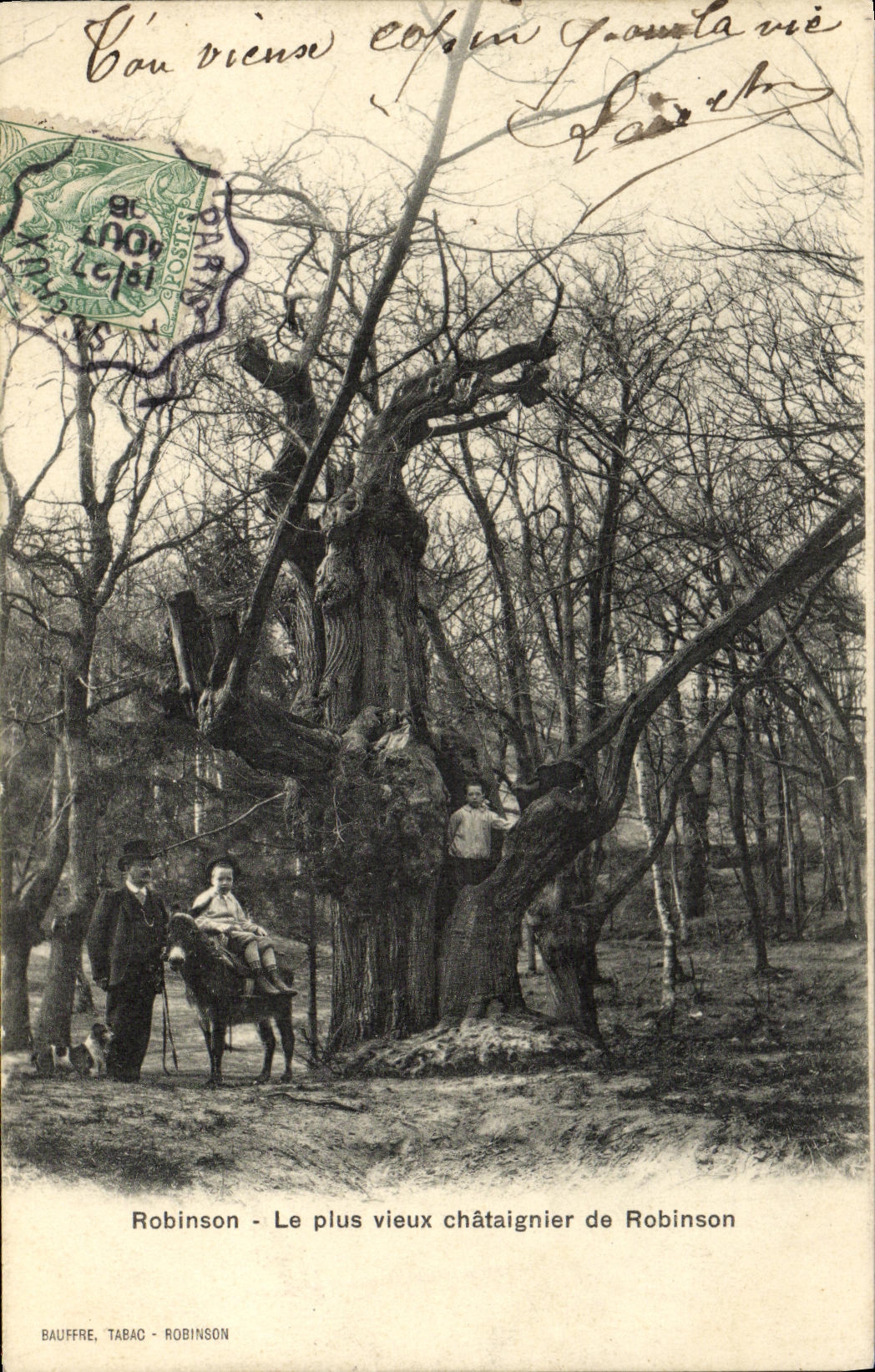 CPA Robinson Le Plus vieux chataignier de Robinson Ane Enfants