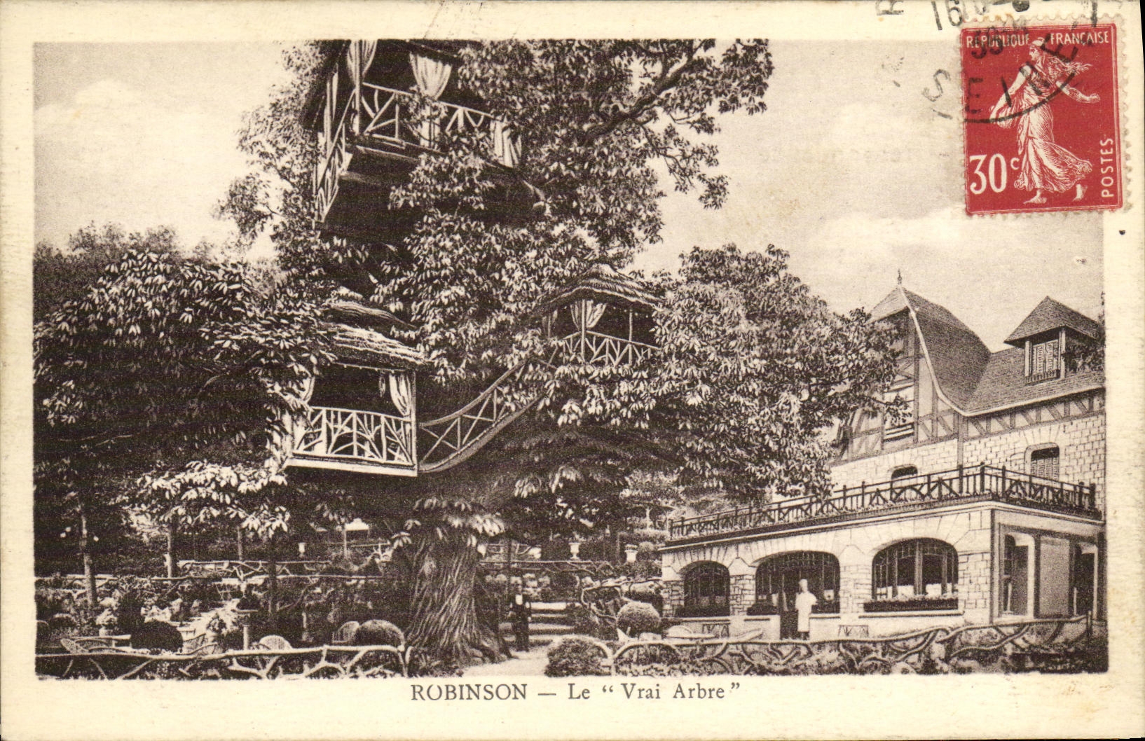 CPA Robinson Le Vrai Arbre