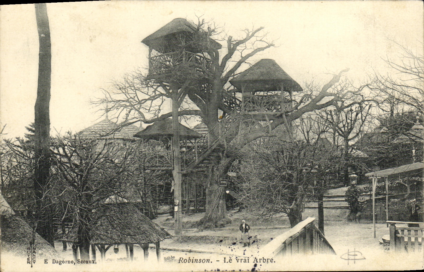 CPA Robinson Le Vrai Arbre