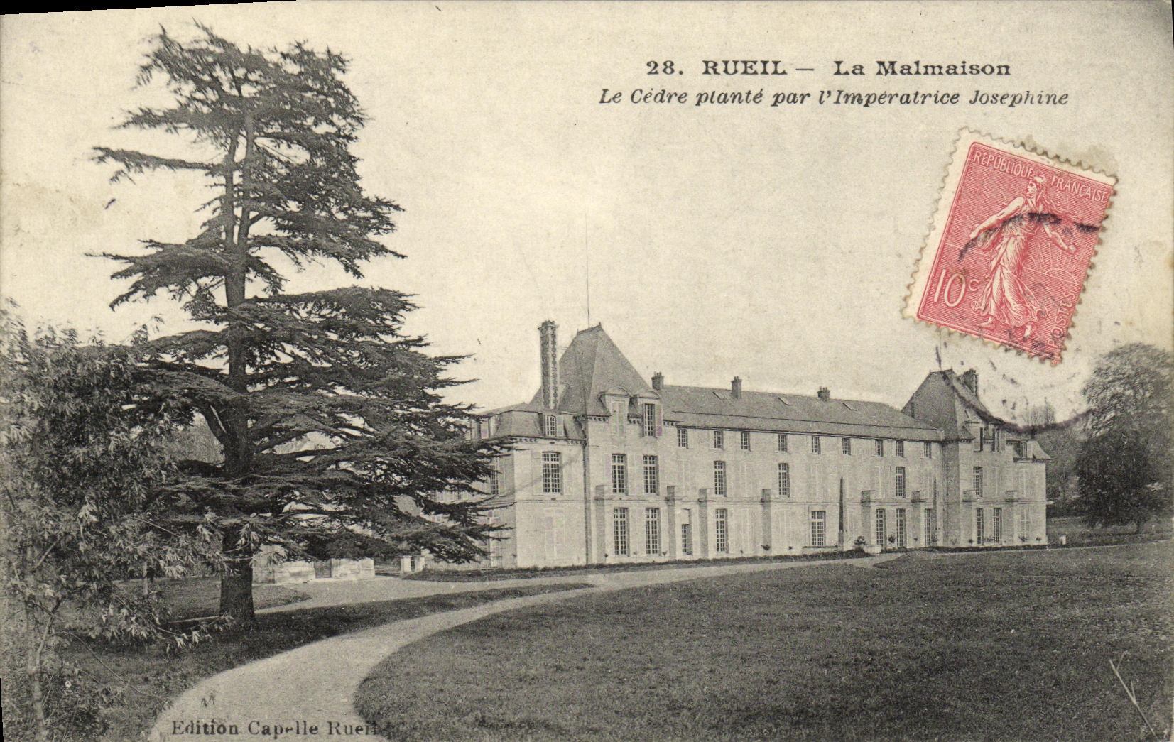 CPA Rueil La Malmaison Le Cedre plante par l imperatrice Josephine