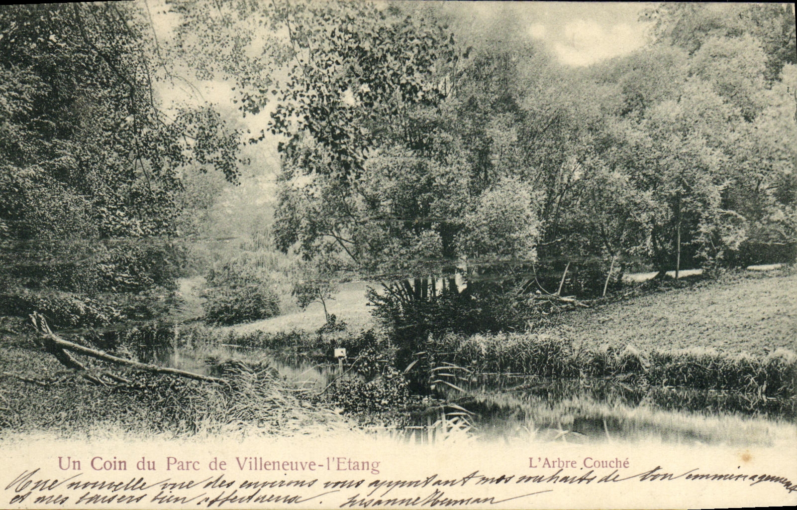 CPA Un Coin du Parc de Villeneuve l Etang L Arbre Couche