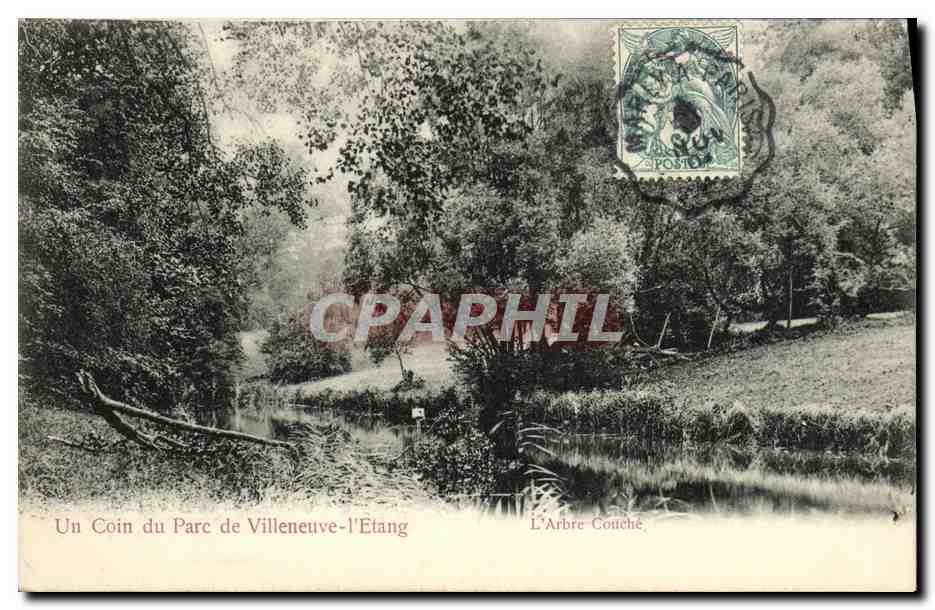 CPA Un Coin du Parc de Villeneuve L Etang L Arbre Couche