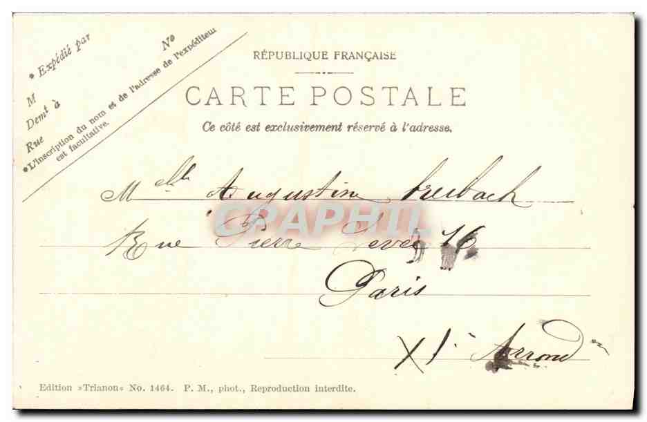 CPA Un Coin du Parc de Villeneuve L Etang L Arbre Couche — Rückseite