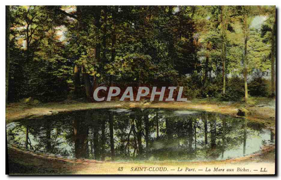 CPA Parc de Saint Cloud Le Parc La Mare Aux Biches