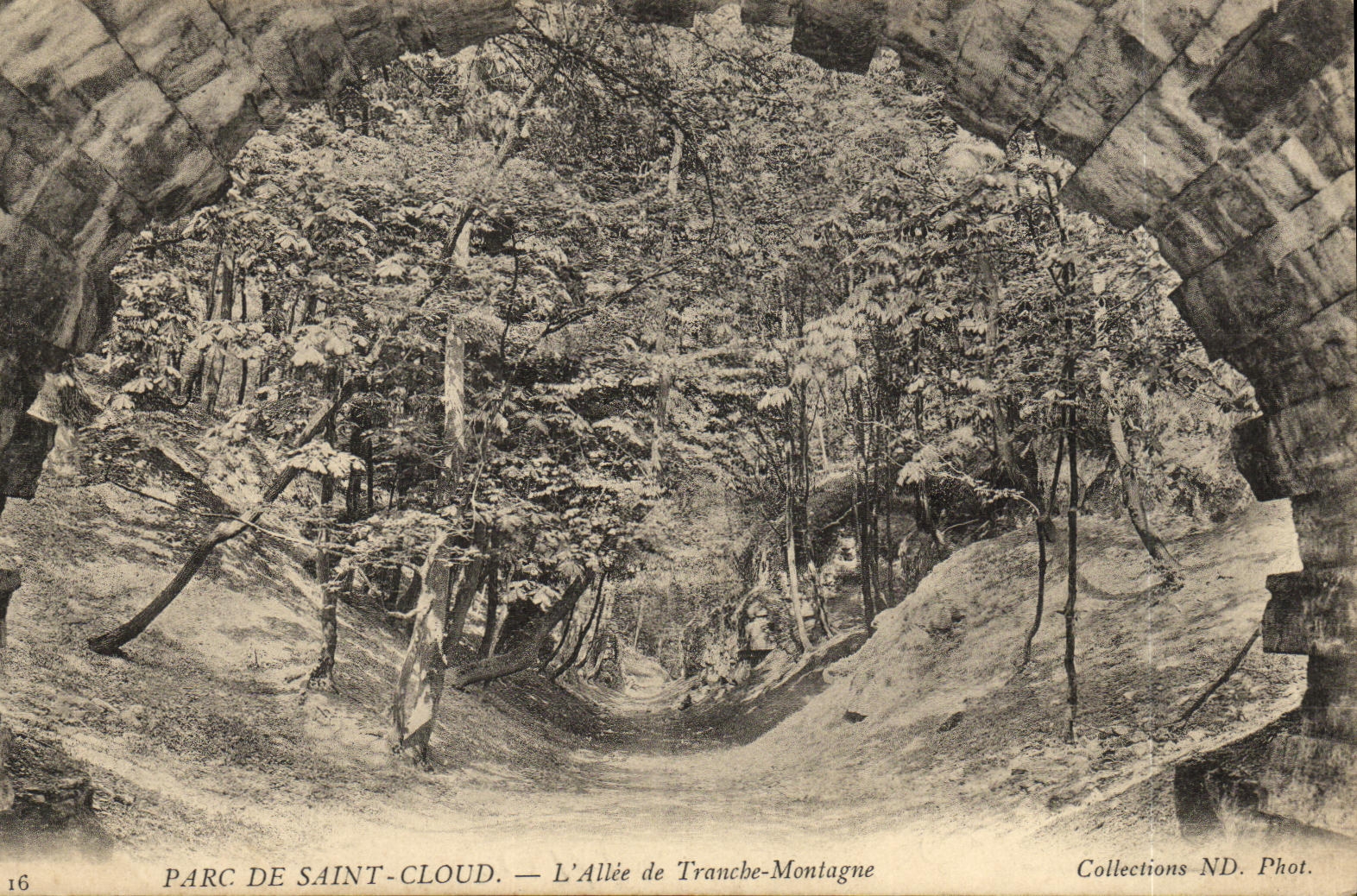 CPA Parc De Saint Cloud L Allee de Tranche Montagne