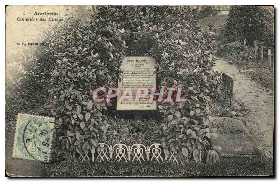 CPA Asnieres Cimetiere des Chiens