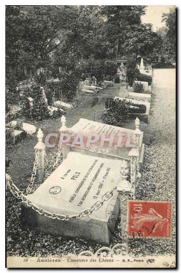 CPA Asnieres Cimetiere des Chiens 