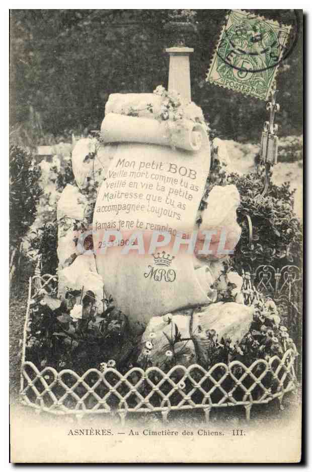 CPA Asnieres Au Cimetiere des Chiens Mon petit Bob