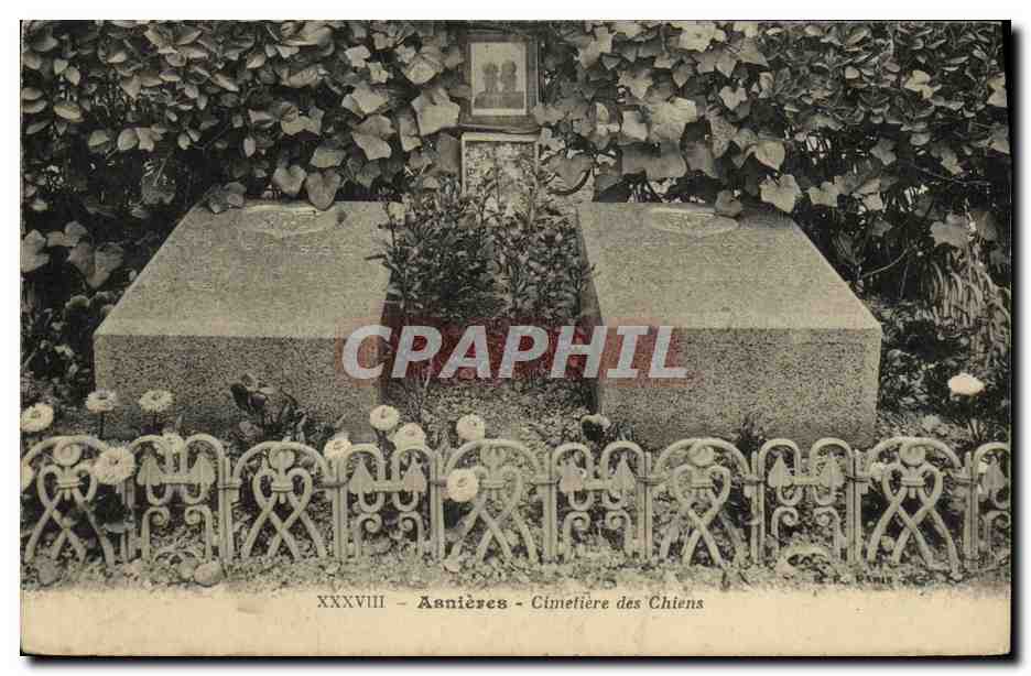 CPA Asnieres Cimetiere des Chiens