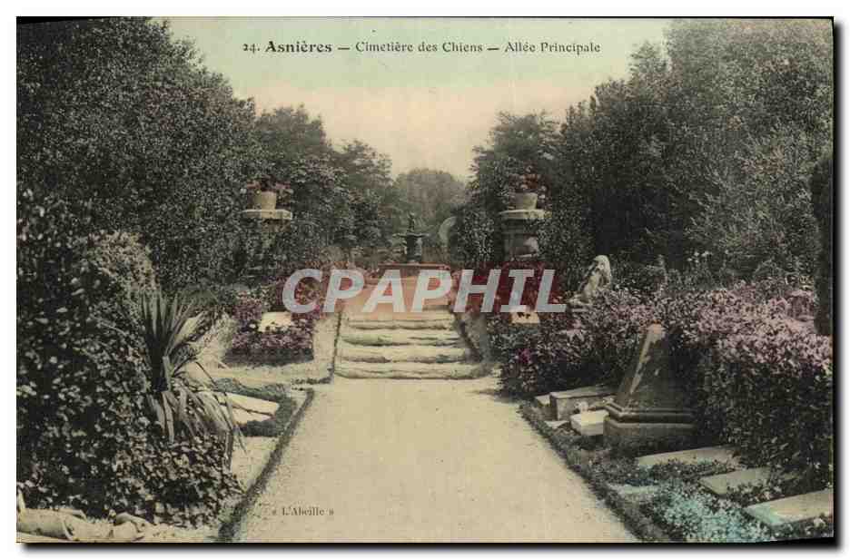 CPA Asnieres Cimetiere des Chiens Allee Principale
