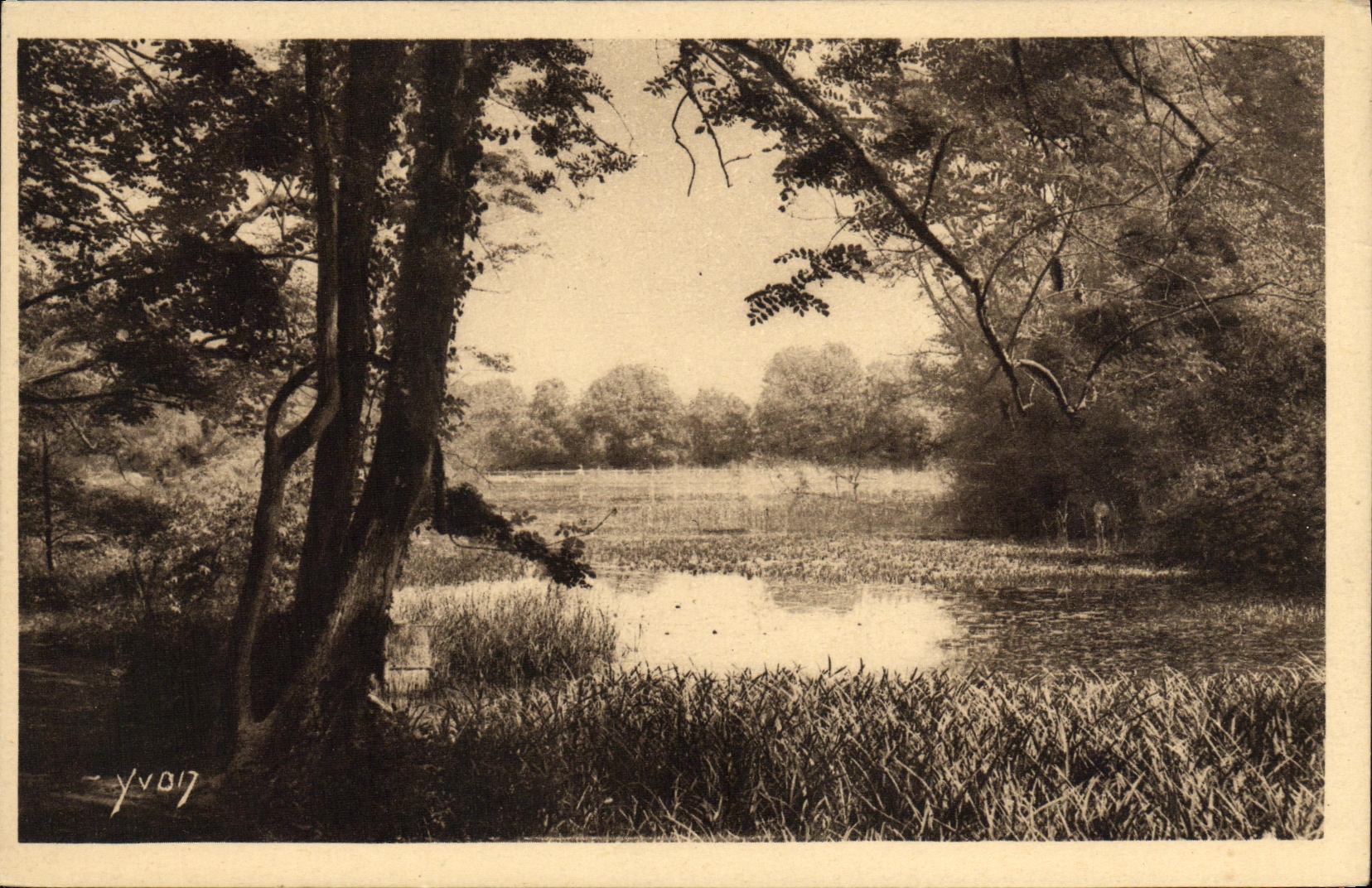 CPA Foret de Meudon Etang de Saint Cucufa