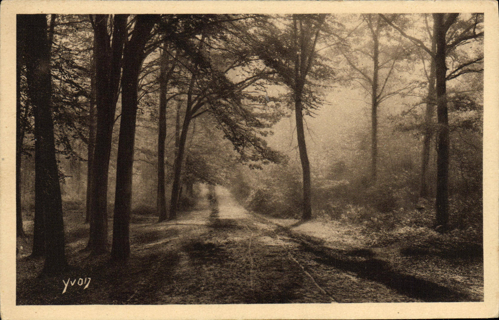 CPA Chaussee de l etang de Trivaux qui conduit a l Etang de Villebon Foret de Meudon