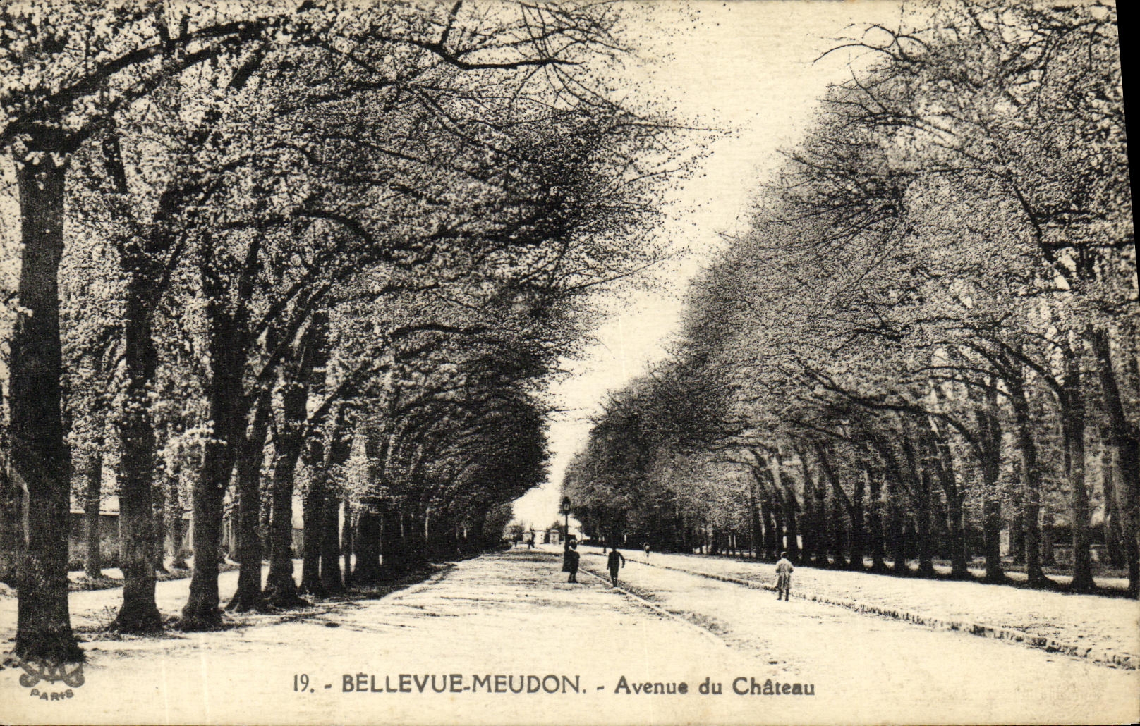 CPA Bellevue Meudon Avenue du Chateau