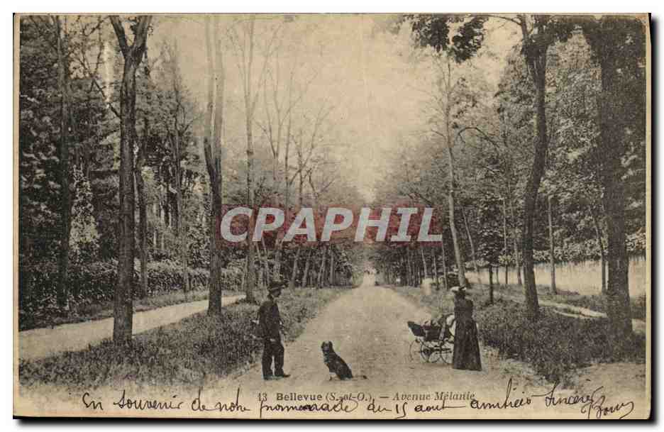 CPA Bellevue Avenue Melanie Colporteur poussette