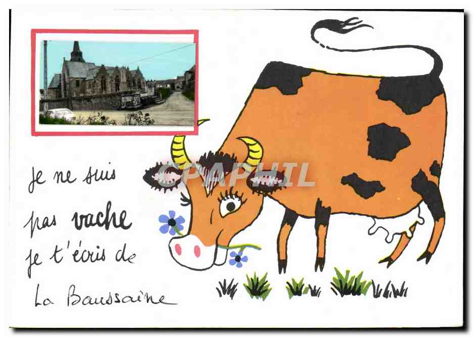 La Baussaine — carte postale humoristique avec vache dessinée — éditeur non visible