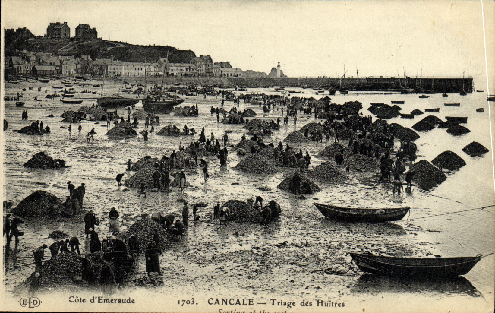 CPA Cancale Triage des Huitres Ostreiculture