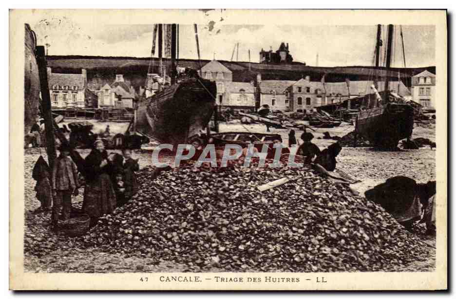 Cancale — Triage des Huitres — LL