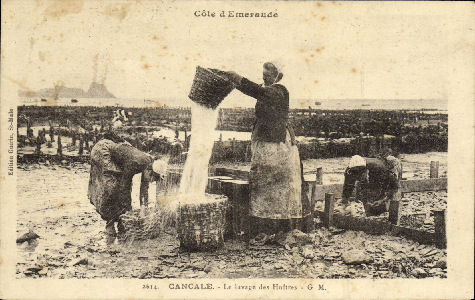 CPA Cancale La lavage des Huitres Ostreiculture