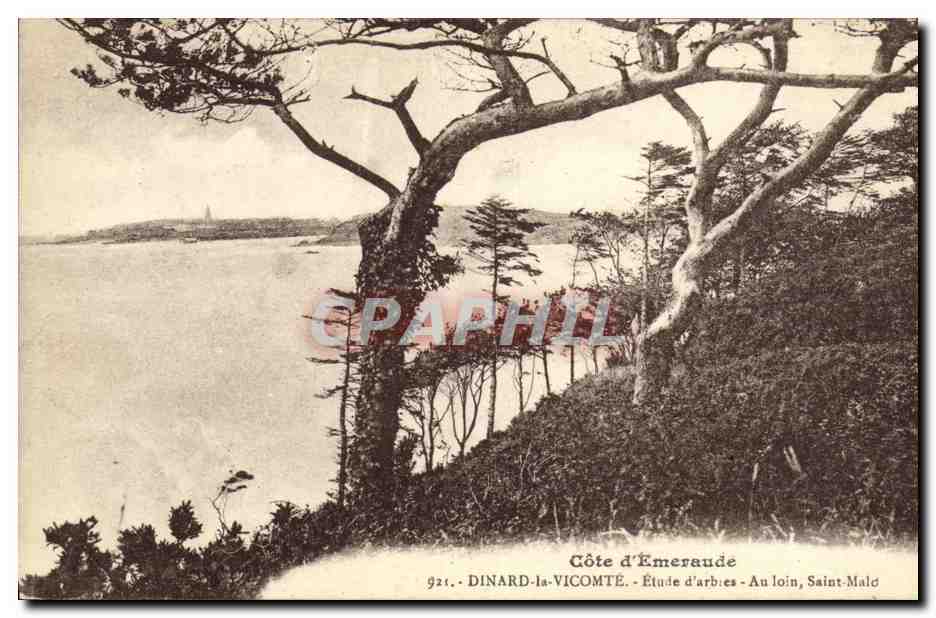 CPA Dinard la Vicomte Etude d arbres Au loin St Malo