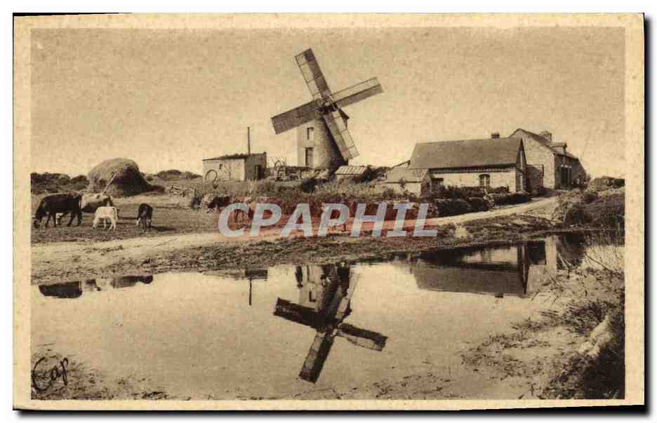 Le Mont-Dol - Le Moulin du Tertre — Dol-de-Bretagne — Tirage des U.C.J.G.