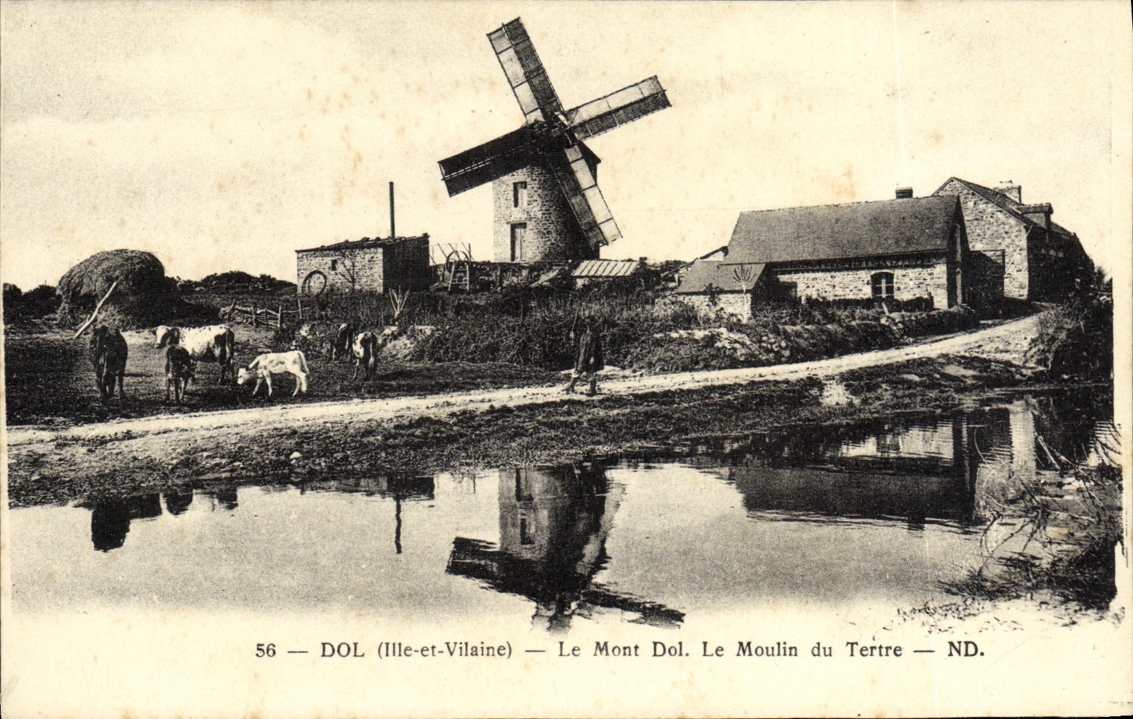 Dol (Ille-et-Vilaine) — Le Mont Dol. Le Moulin du Tertre — ND.