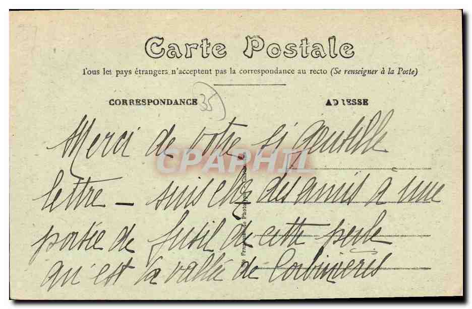 CPA Langon Les Rives de la Villaine Vaches — Verso