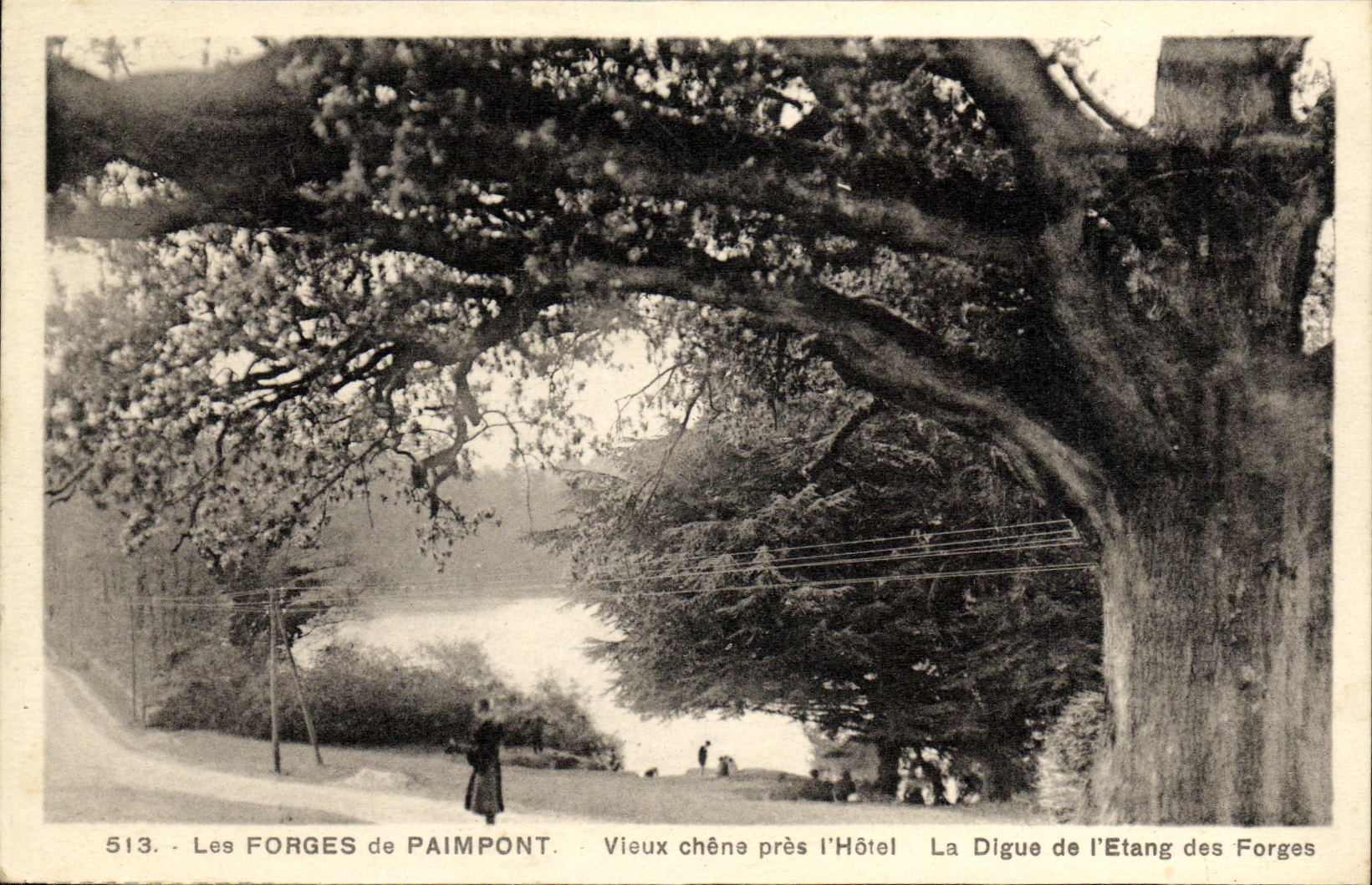 CPA Paimpont Les Forges de Vieux Chene Pres l hotel La Digue de l etang des forges
