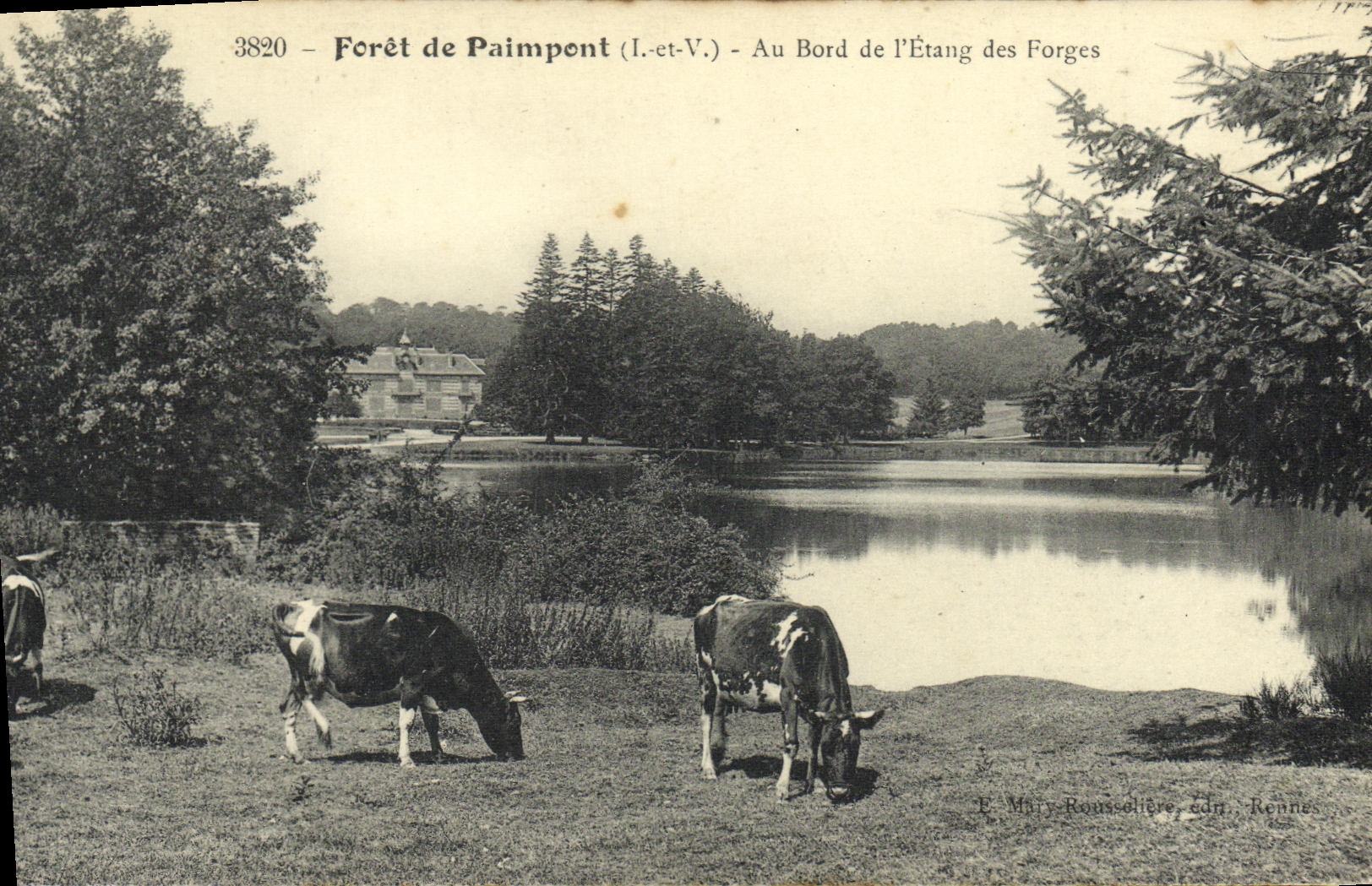 Forêt de Paimpont (I.-et-V.) — Au Bord de l'Étang des Forges — E. Mary-Rousselière, éd. Rennes
