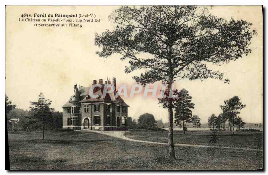 CPA Paimpont Foret Le chateau du Pas du Houx vue Nord Est et perspective sur l etang 