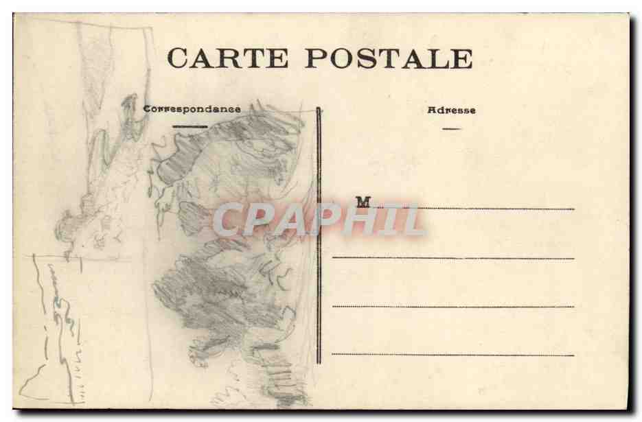 CPA Rennes Le Jardin des Plantes Le Grand Cedre Arbre — Rückseite