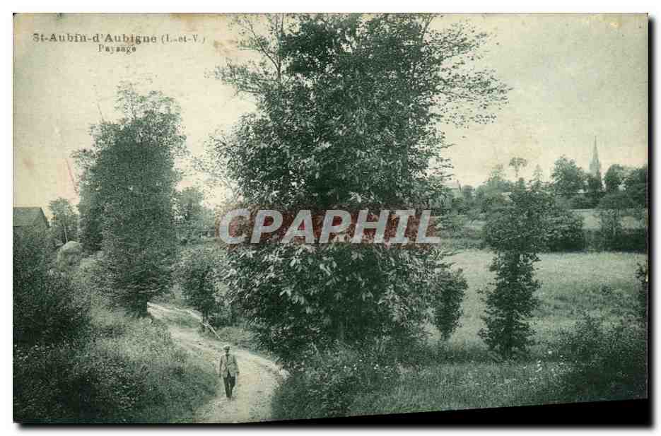 CPA Saint Aubin D Aubigne paysage