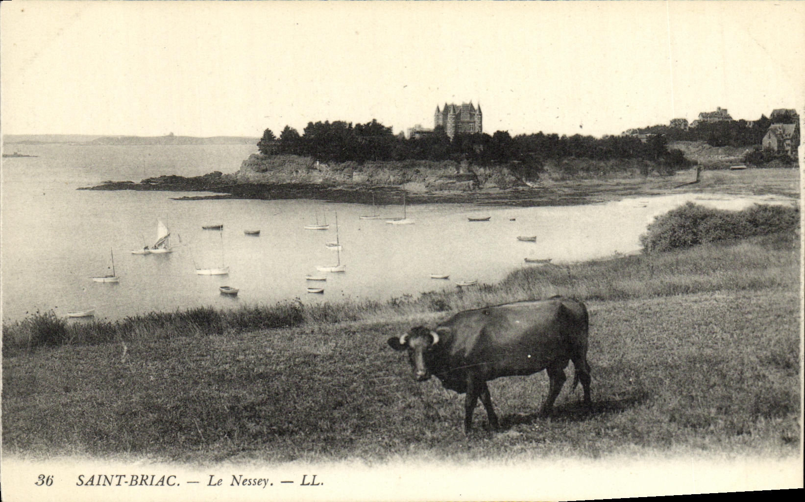 Saint-Briac — Le Nessey — LL. — 36