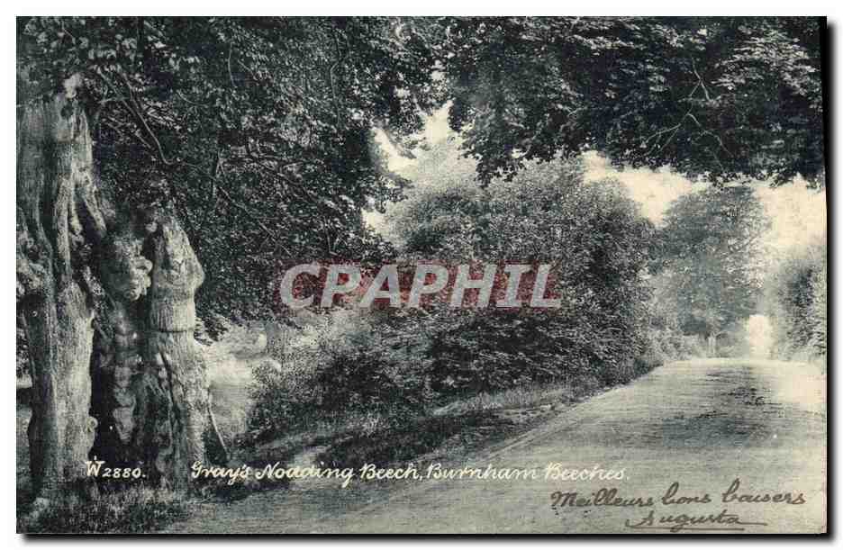 CPA Burnham Beeches