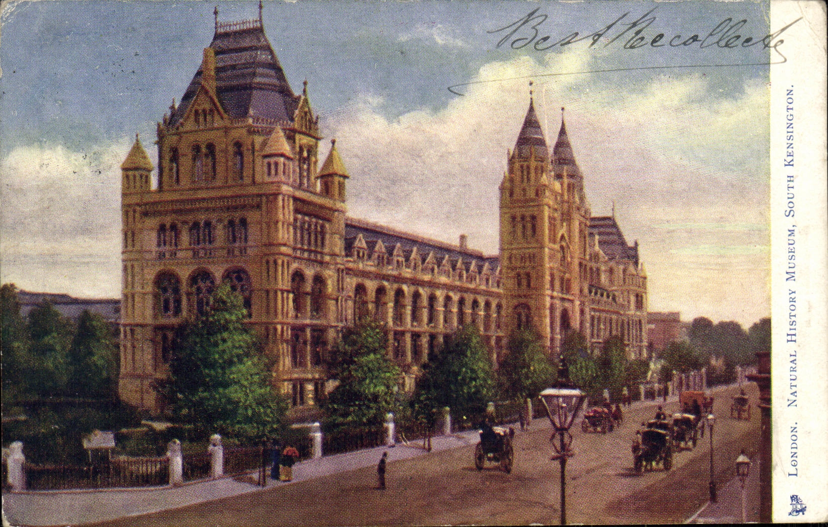 CPA London Naural History Museum South kensington
