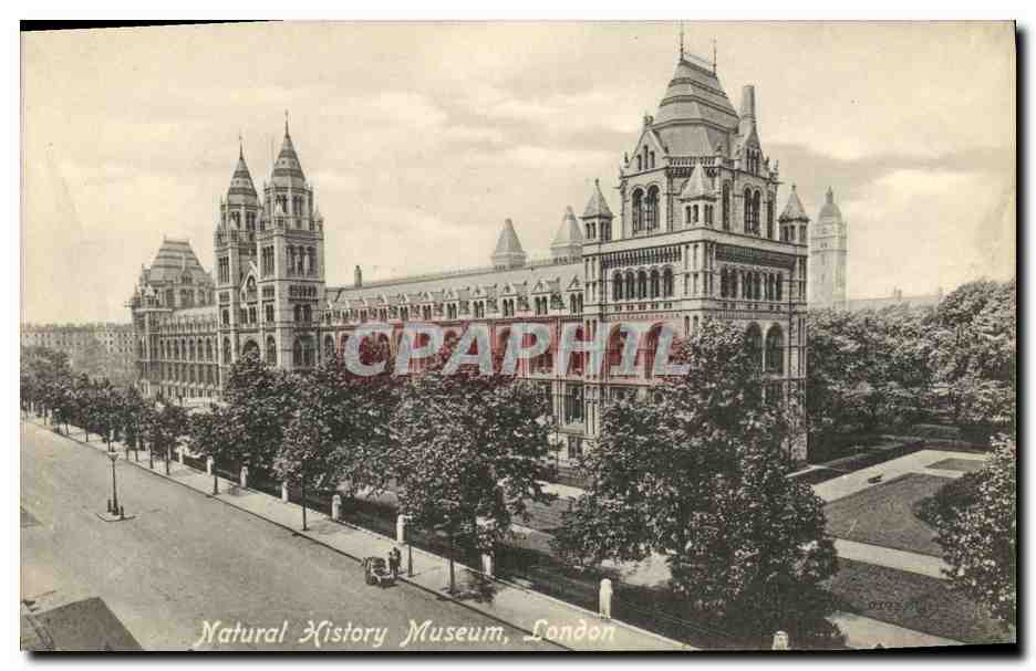 CPA London Natural History Museum