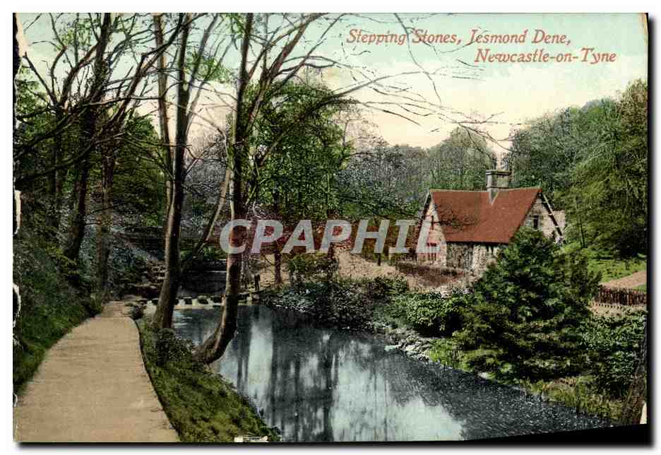 CPA Stepping Stones Jesmond Dene Newcastle on Tyne