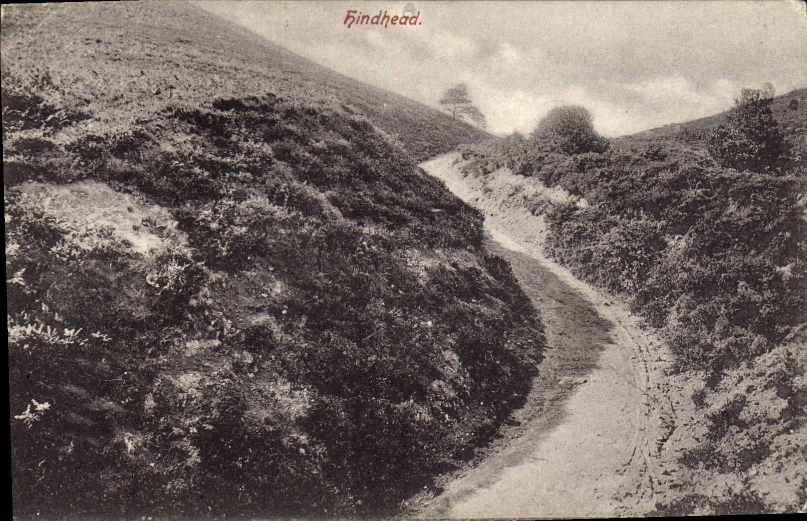 Hindhead — vue de la route sinueuse — Inge's Series - Anverso