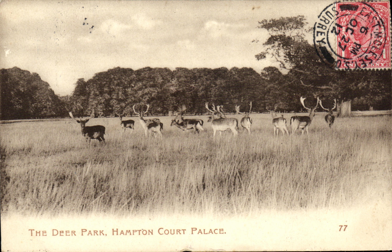 CPA The Deer Park Hampton Court Palace