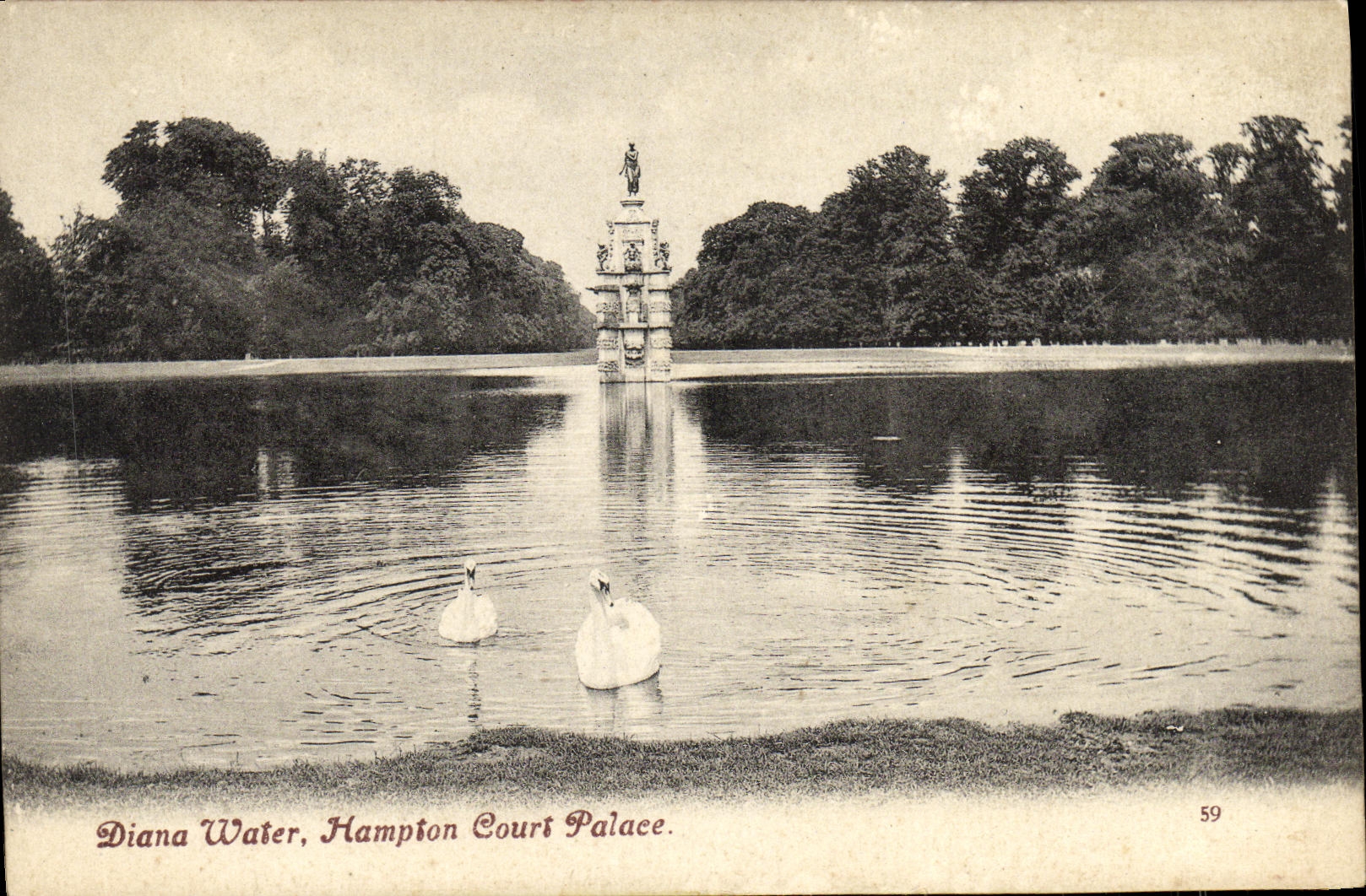 CPA Diana Water Hampton Court Palace Cygnes