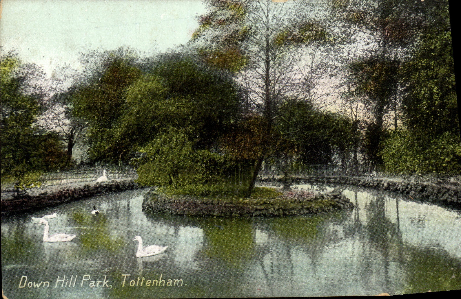 Down Hill Park, Tottenham — vue du lac avec cygnes — E. Gordon Smith, série 355a