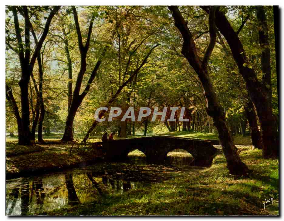 CPM Reliefs d automne 