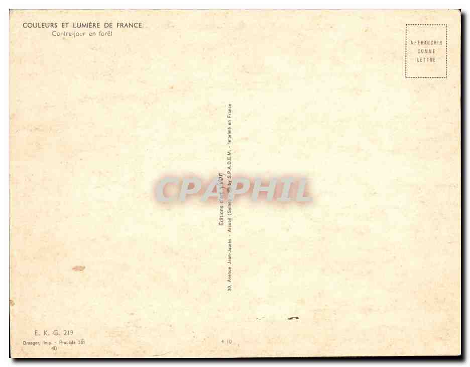 CPA Couleurs Et Lumiere De France Contre jour en foret — Verso