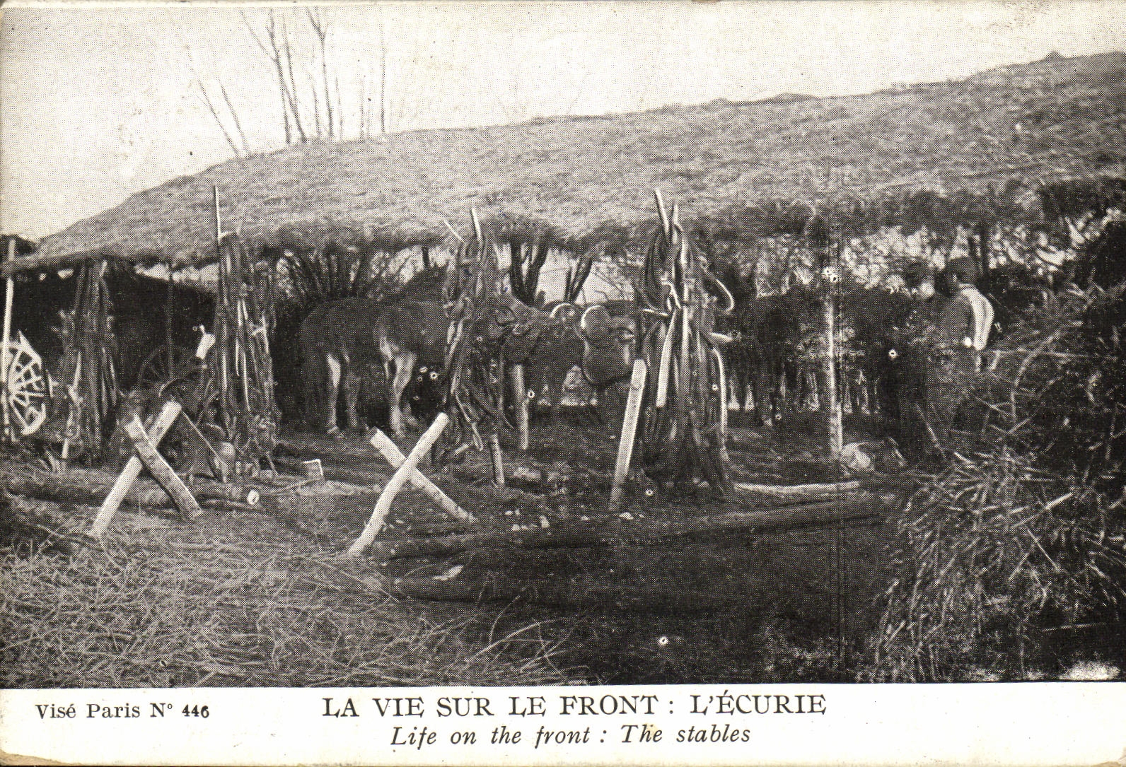 CPA La Vie Sur le Front L Ecurie Chevaxu Militaria 