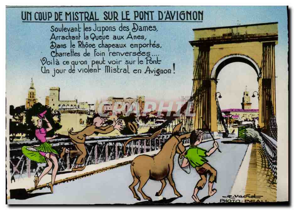CPM Un Coup De Mistral Sur Le Pont D Avignon Ane Mule 