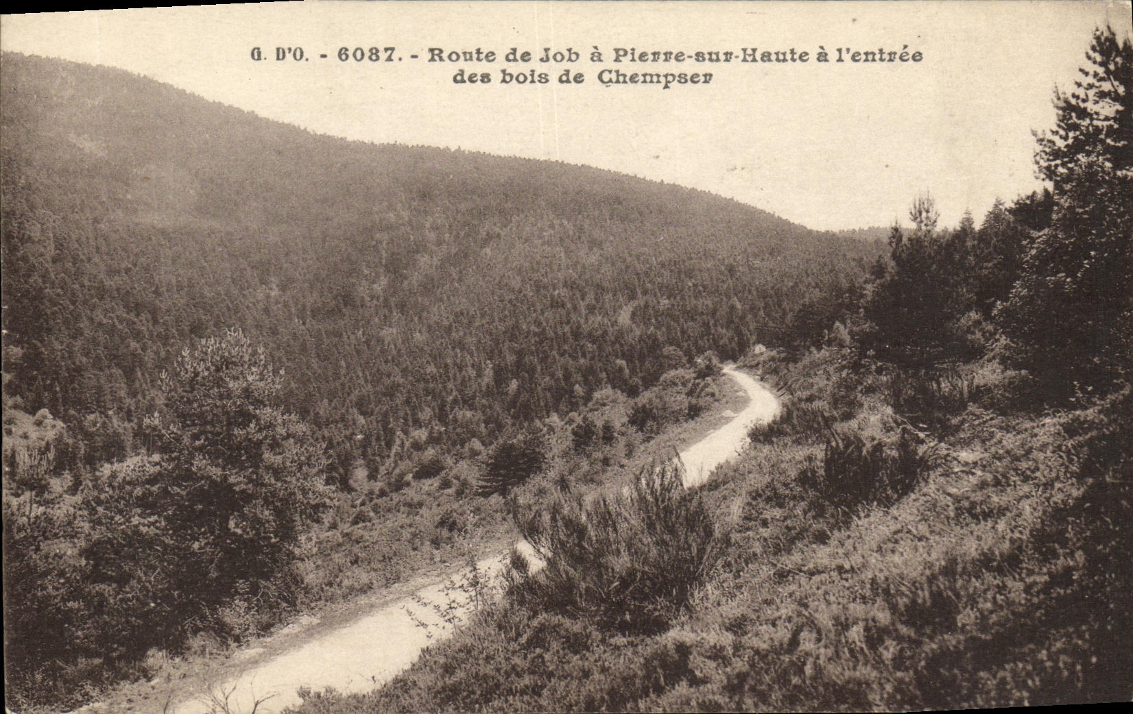 CPA Route de Job a Pierre Sur Haute a L entree Des Bois de Chempser