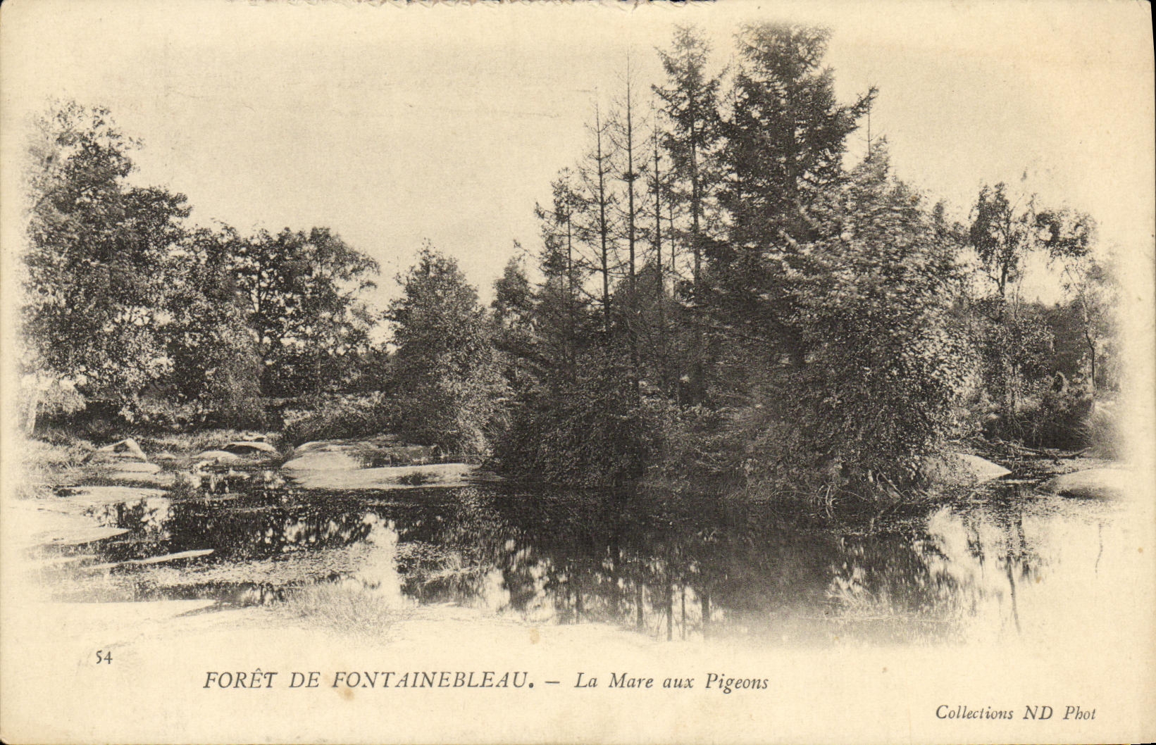 Forêt de Fontainebleau — La Mare aux Pigeons — Collections ND Phot