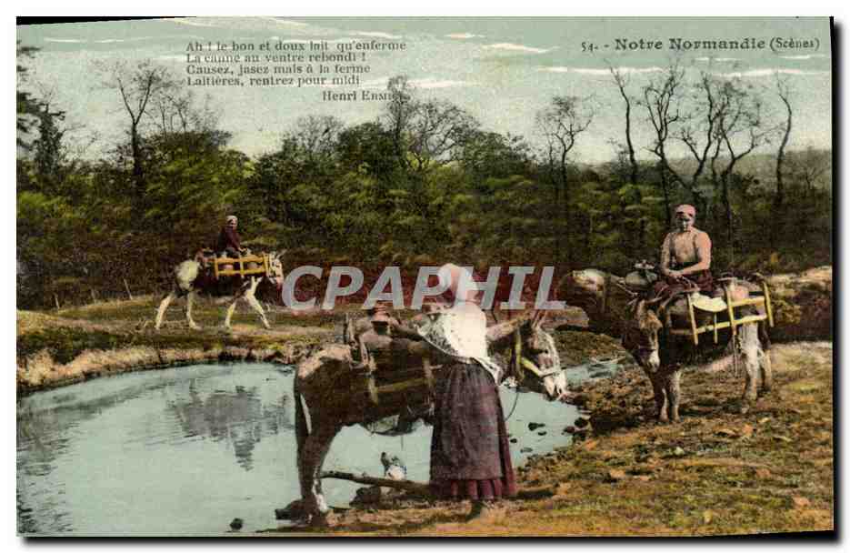 CPA Notre Normandie Anes Mules 