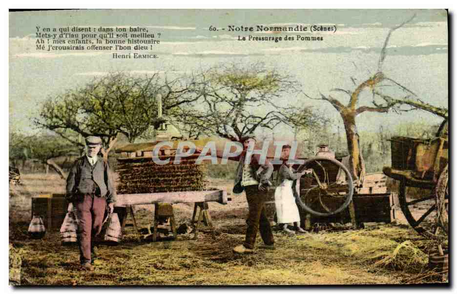 CPA Notre Normandie Le pressurage des pommes Folklore 