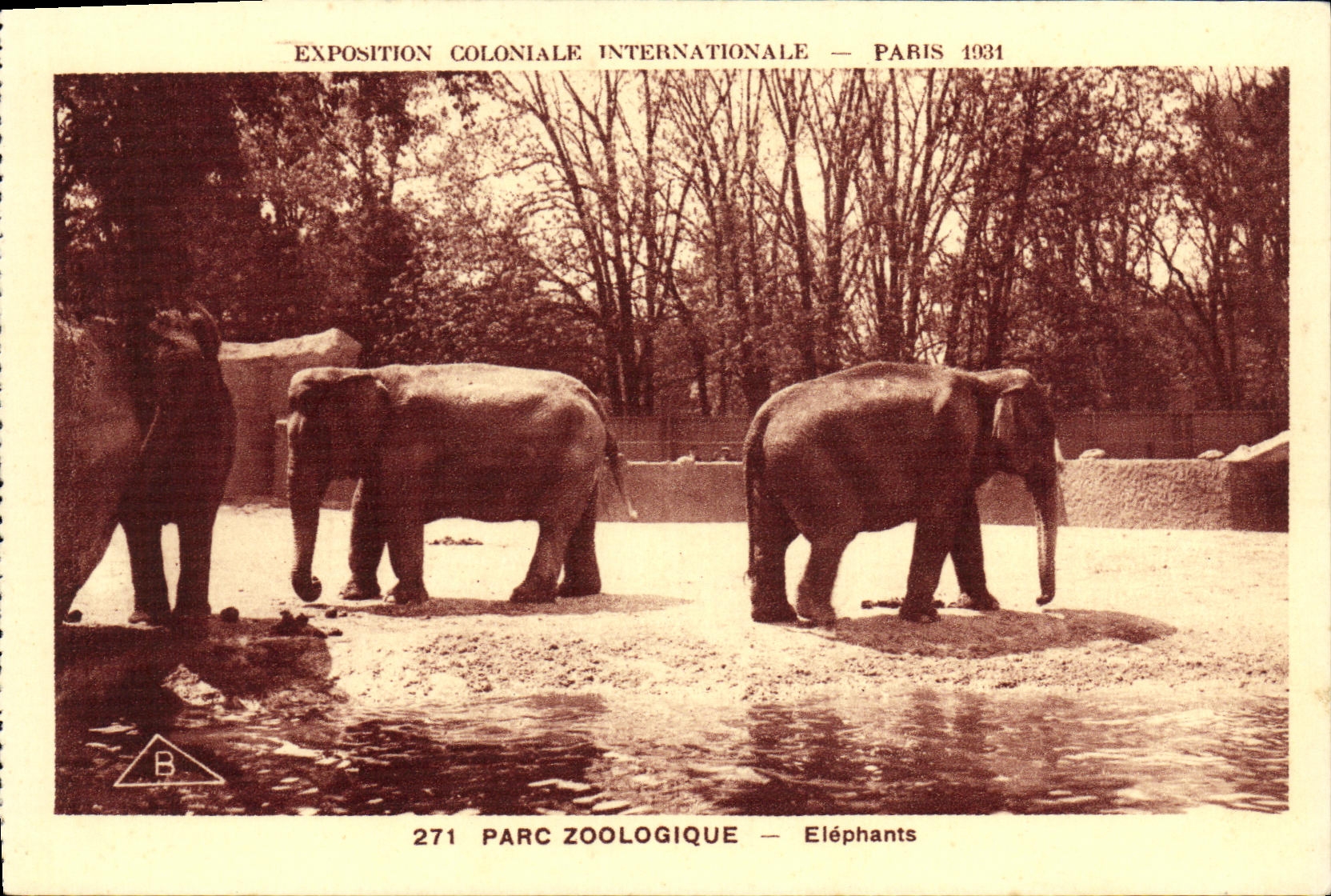 CPA Exposition Coloniale Internationale Paris Parc Zoologique Elephants Zoo