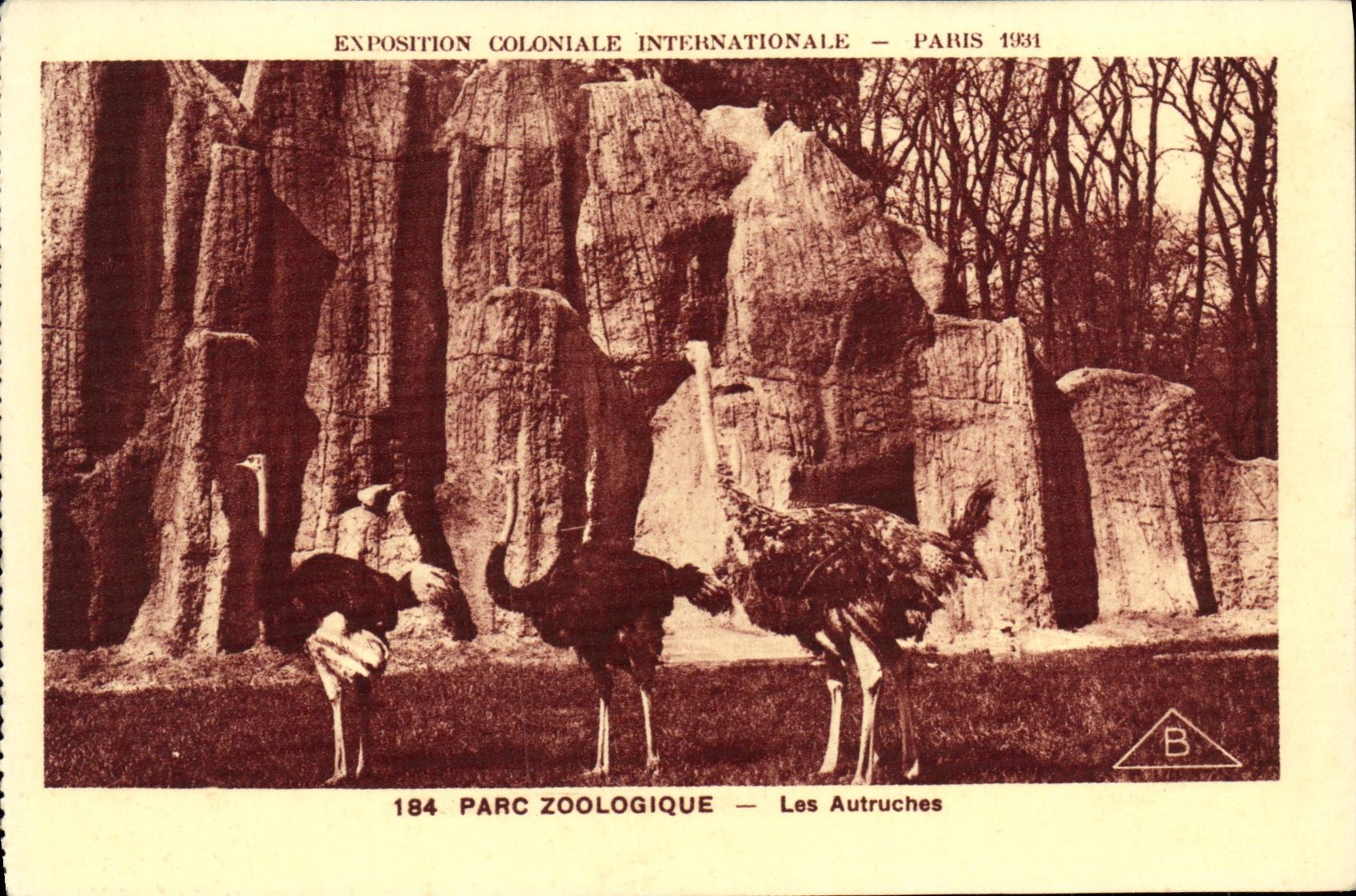 CPA Exposition Coloniale Internationale Paris Parc Zoologique Les Autruches Zoo